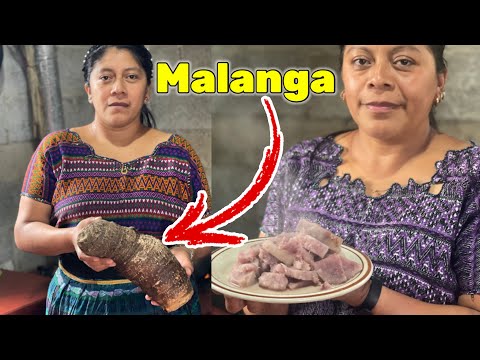 Aprenda A Cocinar La Malanga, Deliciosa Raiz