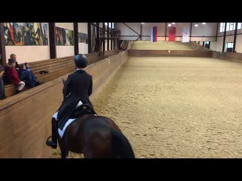 Grand Prix.Rubinio Royal