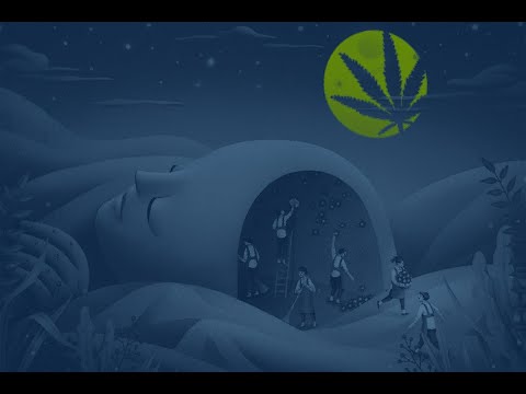 Dealing Ounces(Kizaru) Novye Rajmy