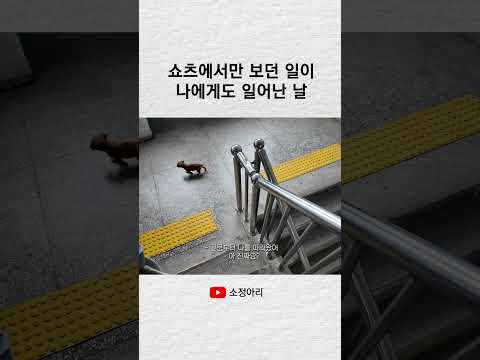 쇼츠에서만 보던 일이 나에게도 일어난 날 #shorts
