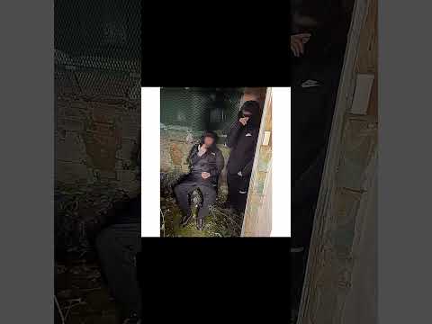 #B77 MJ x KR - No Filter #birmingham