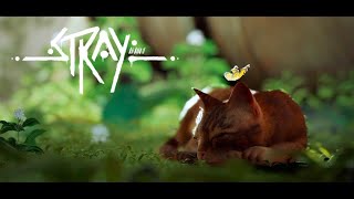 【STRAY】猫になって不思議な世界を大冒険  ＃１