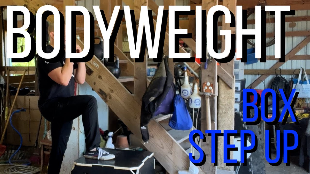 Bodyweight box step up