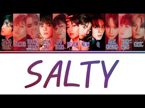 [Color Coded Lyrics] THE BOYZ 더보이즈 - Salty (Han/Rom/Eng)