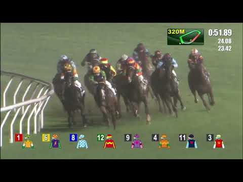 11/5/2022 (657) Above All - R Maia