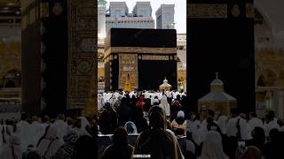 Download lagu Rahmatun Lil alameen ! रहमतुन लिल आलमीन #shorts #youtubeshorts #youtube #rahmatun #lil #alameen mp3