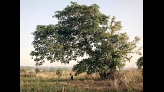 Joseph Arthur - A River Blue