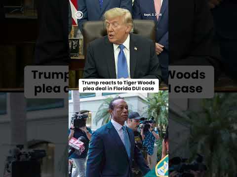 Trump calls Tiger Woods a “great guy” after no contest plea in DUI case #shorts