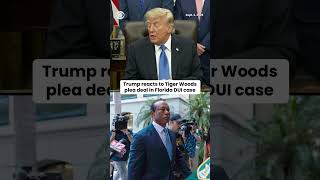 Tiger Woods enters no-contest plea in 2017 DUI case, Trump praises golfer as 'great guy'