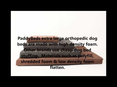 Abruzzese Mastiff ~ Everything You Need to Know with Photos | Videos