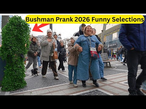 Bushman Prank 2026: Funniest Selections of Bushman Prank Will Keep You Cracking All Day