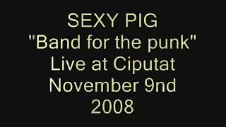 Download lagu Sexypig 'band for the punk' live at ciputat in 2008 lets pogo punks mp3