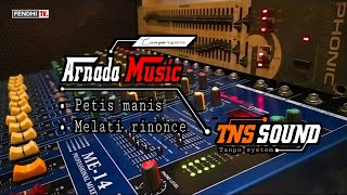 Download lagu Langgam glerr, Petis manis  - Melati Rinonce ,sesi cek sound TNS Audio ( Arnada camporsari ) mp3