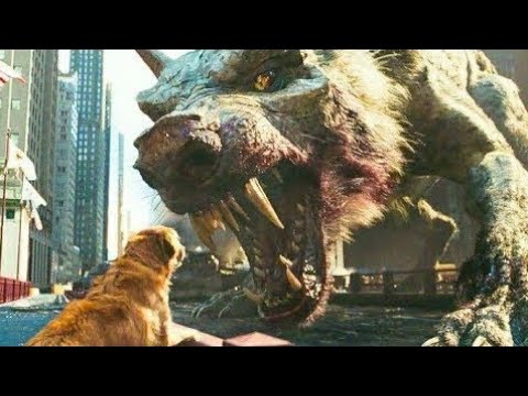 20 5s to 184 5s Giant Crocodile Attack Scene Rampage