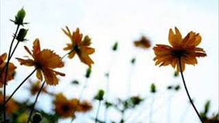 Download lagu DATO SHAKE - Umi (lirik) mp3 Download lagu DATO SHAKE - Umi (lirik) mp3