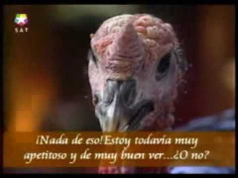 EL VAGAMUNDO - PAVO DE NAVIDAD