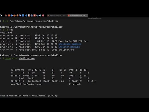 Mastering AV Evasion with Shellter | Advanced Red Teaming Tactics | Antivirus & Malware Evasion