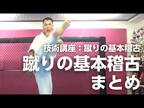 蹴りの基本稽古まとめ： 蹴りの基本稽古6【空手道禅道会 技術解説：20】武道総合格闘技 ／How to  Kick Basic Tecnique  MMA KARATE