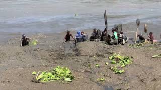 Download lagu Bertaruh ny4w4 Demi Ikan Mabuk .. PLADU Bendungan Serut 2025 mp3 Download lagu Bertaruh ny4w4 Demi Ikan Mabuk .. PLADU Bendungan Serut 2025 mp3