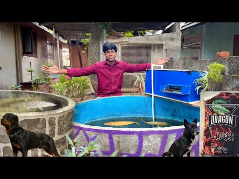 ALL My CRAZY😈PETS ❤️‍🔥in ONE video !! /JENISH KJ