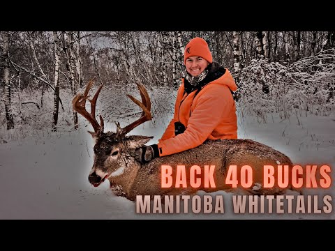 BIG BUCK DOWN | Manitoba Whitetail Hunting