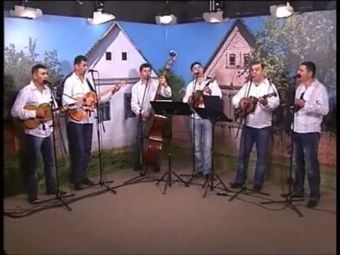Tambura Band - Kopa cura vinograd