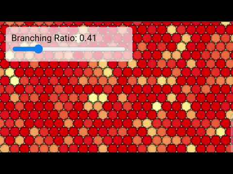 What Are Neuronal Avalanches?