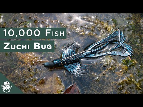 10,000 Fish Zuchi Bug | Karl's Bait & Tackle