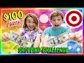 $100 SHOPPING CHALLENGE AT TARGET | What do we get? | We Are The Davises