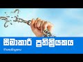 Cover of සීමාකාරි ප්‍රතික්‍රියකය
