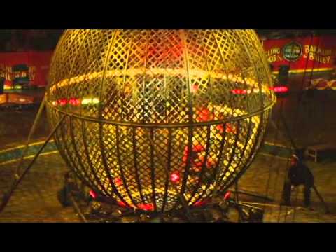 Ringling Bros. Presents Dragons - Paulo Proves He Has Heart