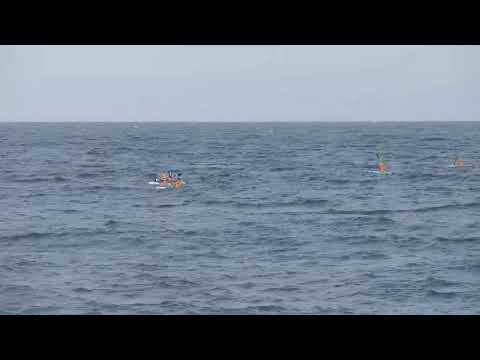 Livestream Palm Beach Lifeguard Competition