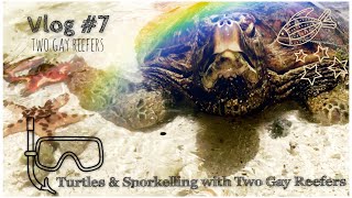 Sea Turtles & Snorkelling with Two Gay Reefers