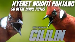 Download lagu NYERETNYA PATAS!!!! CILILIN NEMBAK 50 DETIK TANPA PUTUS || MASTERAN MURAIBATU CUCAKIJO CENDET mp3