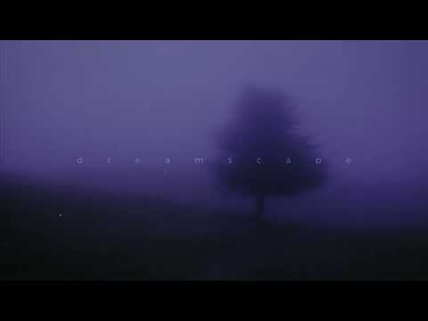 Days go by - Antant & My head is empty (1hour)