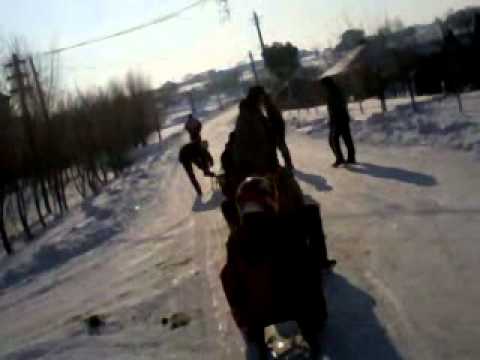 pe la valea ciresului,cu sania