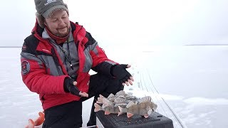 Блесны под лед на нельму