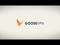 GooseVPN: Easy Guide - Logging in to your Personal Portal and Downloading the Goose App