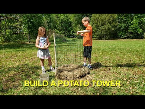 🌼🌼🍃Growing Potatoes In Towers🌞🍃🌞