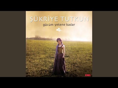 Video Yükleniyor...