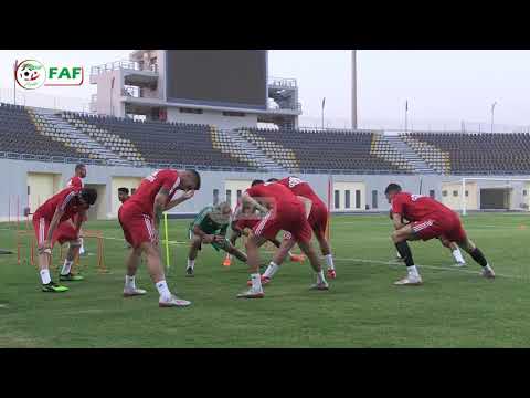 Avant-match Algérie-Nigeria: Conférence de presse de Djamel Belmadi et Mehdi Abeid