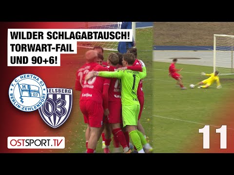 Wild exchange of blows! Goalkeeper fail & 90+6! Zehlendorf vs. Babelsberg | Regionalliga Nordost