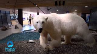 Reklamefilm Svalbard Museum