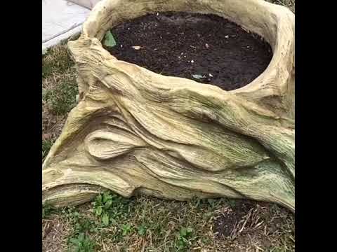 Пень артбетон. Пенек из цемента и тряпок. Арт бетон кашпо. Декоративный пень для сада. Пни из цемента своими руками.