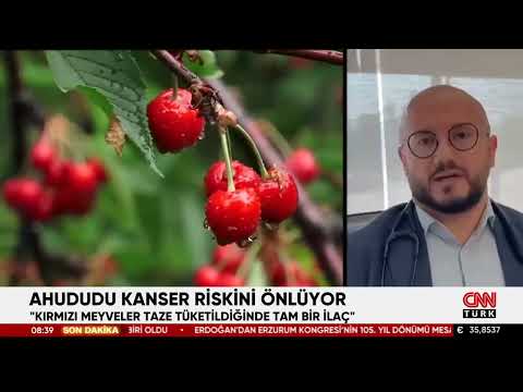 Antioksidan ve Lif İçeriği Yüksek Olan Meyveler Kansere Karşı Korur Mu?