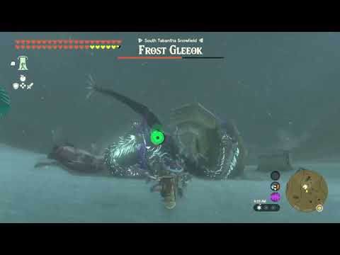 How to Beat Frost Gleeok in Zelda Tears of the Kingdom
