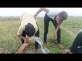 Aaj Humlog Bhut Dur केथा Sag Todne Aa Gaye Village Vlogs Village Life Daily Vlogs