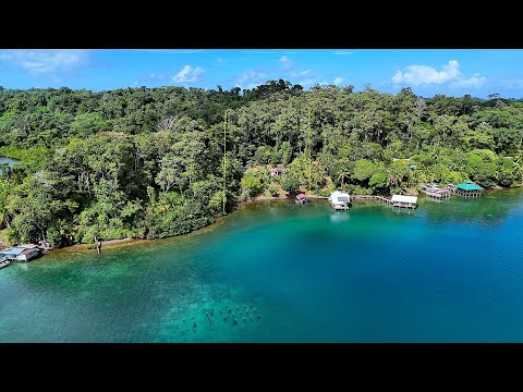 Off-Grid Waterfront Retreat with Dock, Guest Cabin & Privacy on 8.2 Acres | Bocas del Toro, Panama
