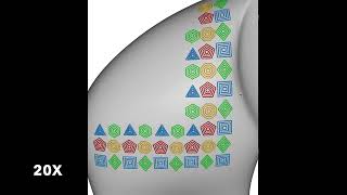 Vector graphics on surfaces using straightedge and compass constructions