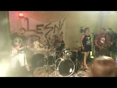 Barkas - BARKAS (hardcore punk) - Lesní Punk #19 16.08.2025